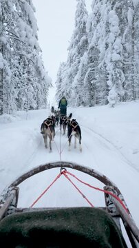 Journey through the enchanting winter landscape of Akaslompolo, Finland. Snow-draped trees and a team of eager sled dogs create an unforgettable adventure in this Lapland paradise.