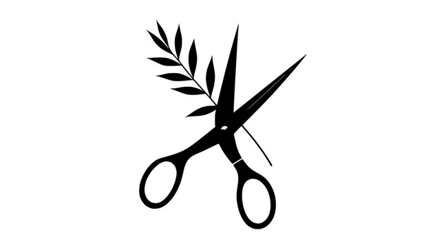 scissors isolated on white background