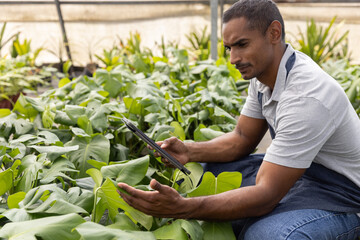 Mid adult man kneeling in nursery, in polo apron jeans, holding tablet checking foliage, copy space © wavebreak3