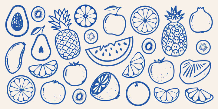 Collection of hand drawn blue line fruit including pineapple avocado kiwi and watermelon high quality