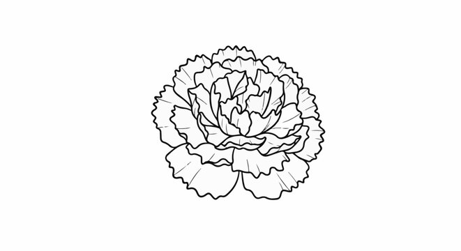 Detailed outline drawing of a full bloom flower with ruffled petals