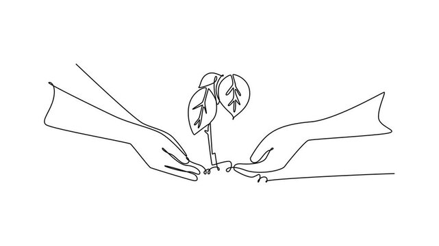 people hands planting small tree. Planting tree in city park concept. Single line draw design. Full length animation illustration. High quality 4k footage