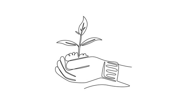 Planting tree. Man holding soil with young seedling outdoors. Planting tree in city park concept. Single line draw design. Full length animation illustration. High quality 4k footage
