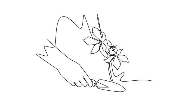 Man planting small tree into soil outdoors. Planting tree in city park concept. Single line draw design. Full length animation illustration. High quality 4k footage