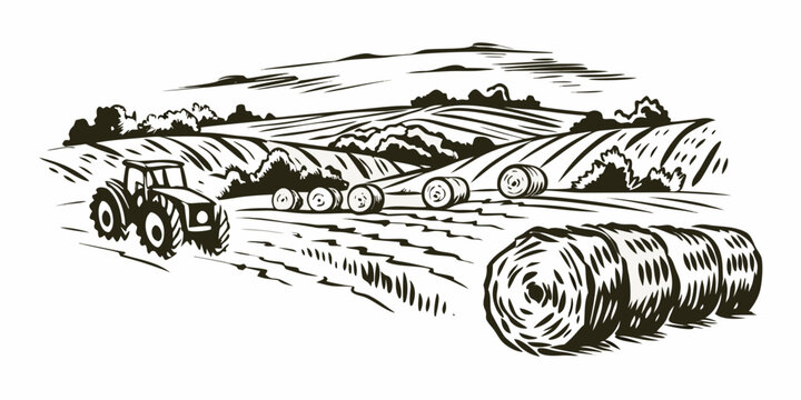 Farm landscape with tractor and hay bales monochrome line art illustration on white background