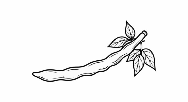 Line art sketch of a single green bean with leaves on a stem