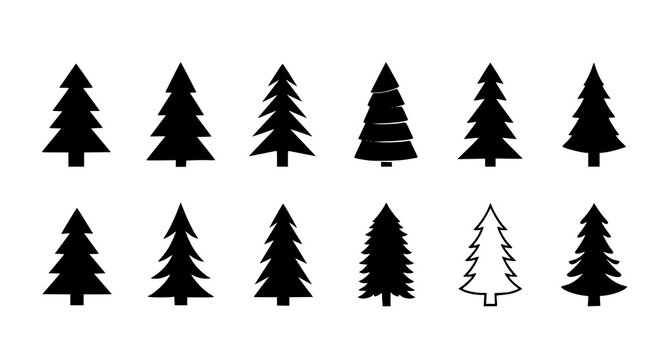 Collection of black silhouette pine trees and one white outline tree