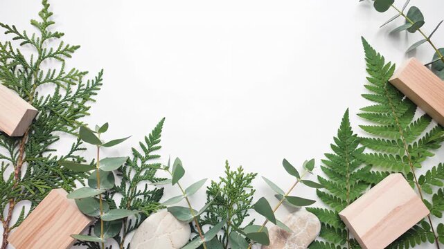 Meticulously arranged green foliage, eucalyptus, fern fronds, river stones, wood blocks on bright white background with copy space. Slow push-in, soft daylight. Concept of eco-conscious wellness