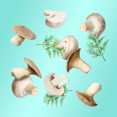 Fototapeta premium Fresh mushrooms and dill flying in air against turquoise gradient background