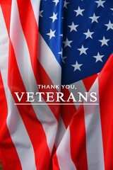 Naklejka premium Veterans Day poster with flag of USA and text