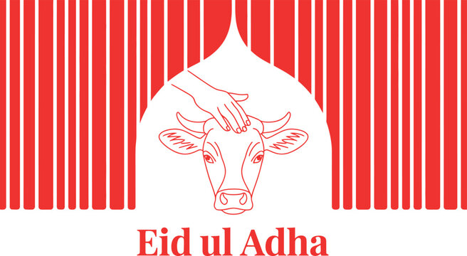 Eid ul adha celebration: a hand gently pats a cow's head