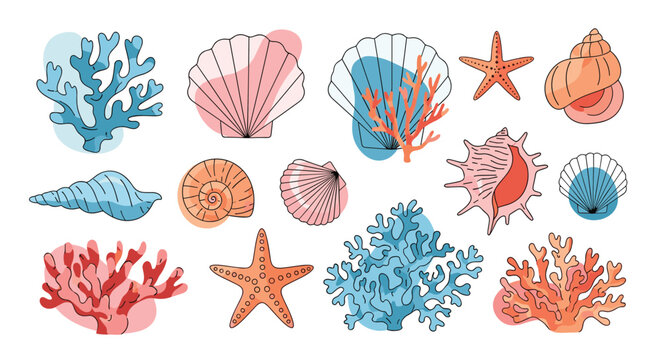 Large collection of sea shells, colorful corals, and starfish are arranged in a flat lay design for marine and ocean themes.