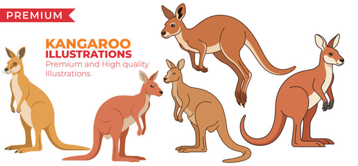Kangaroo Illustration Pack with Jumping Wildlife and Outback Animals © MuhammadUmar