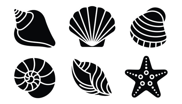Collection of seashell and starfish silhouette vector icons set isolated on white background for beach nautical ocean and summer design.