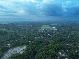 Fototapeta premium Aerial View of Lush Rice Fields and Rural Landscape in Bantul, Yogyakarta