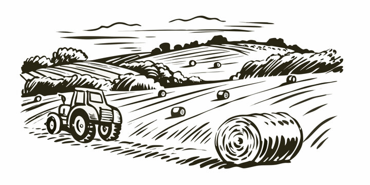 Farm landscape with tractor and hay bales monochrome line art illustration on white background