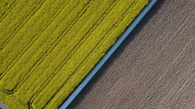 Rapsfeld und Ackerland im Fr&uuml;hling &ndash; Luftaufnahme von l&auml;ndlicher Landwirtschaft und Natur