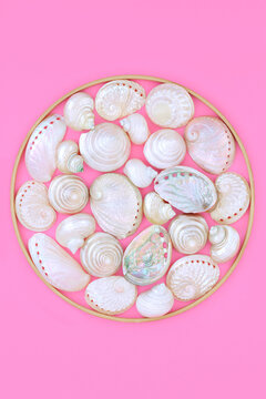 Mother of pearl seashell abstract design in circular frame on pink background with white shells. Decorative seaside art design symbol for summer greeting card, logo.
