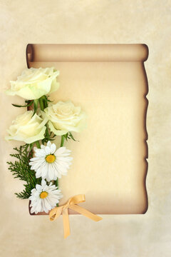 White Rose flower in sympathy design tribute for remembrance letter on paper scroll on parchment. Floral memorial design for funeral with gold bow.