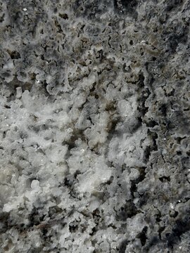 Salt crust surface showing intricate natural patterns and textures formed by mineral crystallisation in a dry lake bed environment
