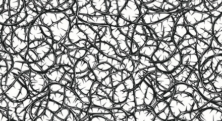 Abstract Spiky Twisting Thorny Vines Pattern - Black and White Texture Background © udin