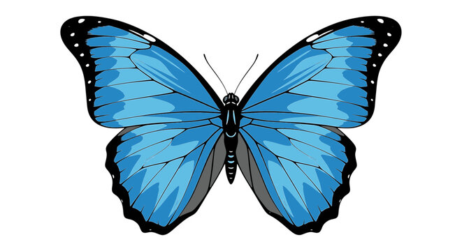 Blue Morpho Butterfly Vector Illustration Isolated on White Background