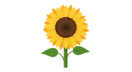 Fototapeta premium Vibrant Sunflower Illustration with Green Leaves on White Background