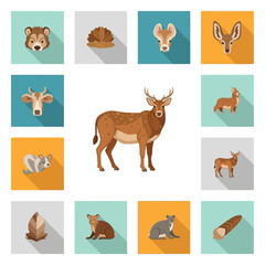 Obraz premium Diverse Wildlife Collection: Animals and Nature Elements Flat Icons