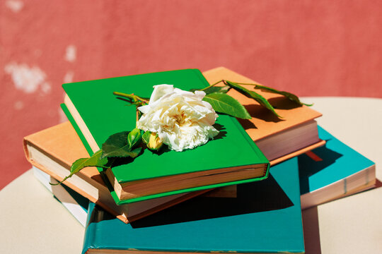 Stack of colorful books with a white rose in sunlight