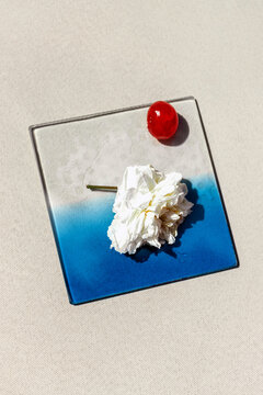 Minimal still life of white rose and cherry on blue glass