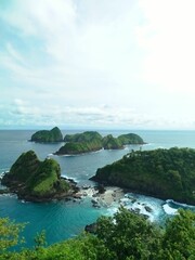 Naklejka premium Green island