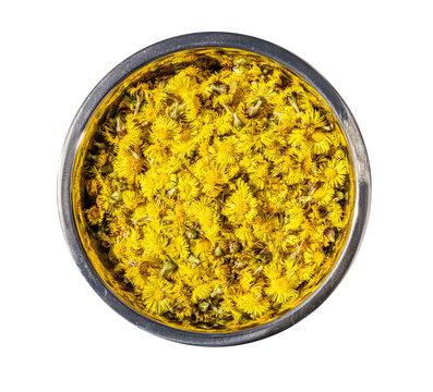 Frische Huflattich Bl&uuml;ten, Tussilaga Farfara