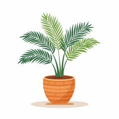 Obraz premium Potted Areca Palm Plant Illustration