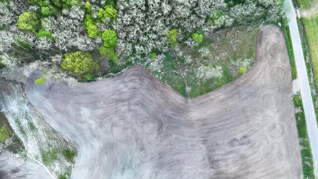 Rebirth of nature reforestation project aerial view