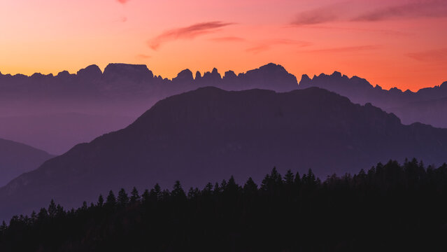 Mountain silhouettes and forest line against a vibrant sunset sky, an alpine nature tourism destination with copy space. Brenta Dolomites from Paganella plateau, Trentino, Italy.