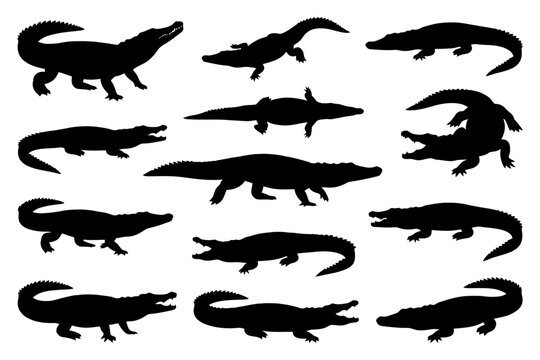 Silhouette collection of alligators and crocodiles in various poses.