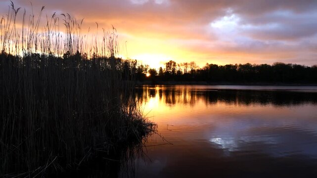Stockholm, Sweden The Kyrksjolotens nature reserve near a small lake in the Bromma suburb at sunrise. 
