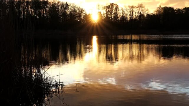 Stockholm, Sweden The Kyrksjolotens nature reserve near a small lake in the Bromma suburb at sunrise. 