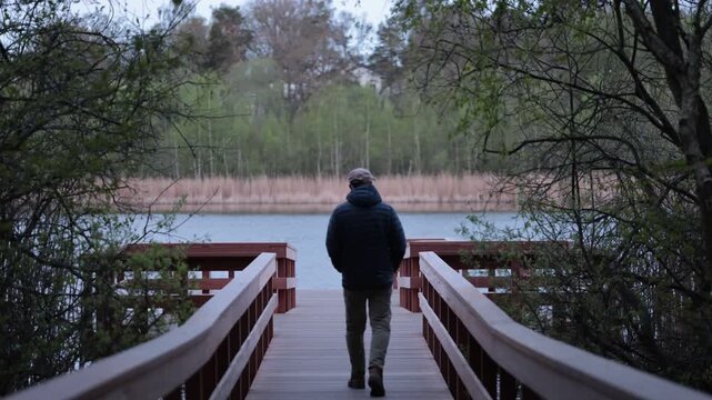 Stockholm, Sweden A man walks on a wooden boardwalk in the Kyrksjolotens nature reserve near a small lake in the Bromma suburb.  
