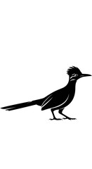 Obraz premium Black roadrunner bird silhouette