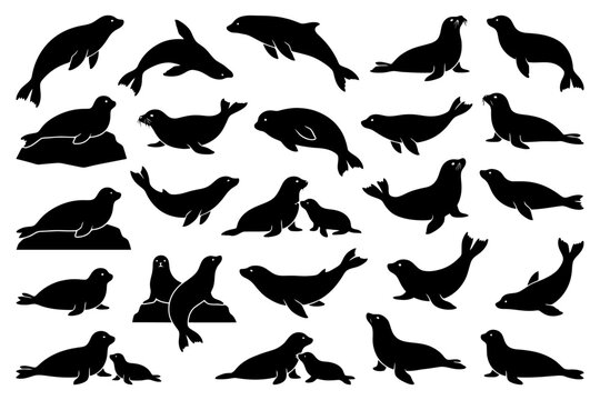 Silhouette collection of diverse seals and sea lions in various poses.