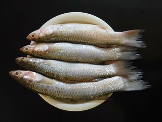 Top view of fresh raw flathead grey mullet fish (Mugil cephalus) neatly arranged on a white plate against a dark background. Natural lighting highlights the texture and freshness, ideal for seafood © ShaLulla