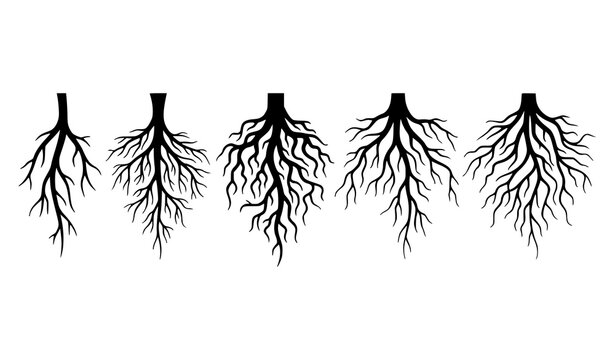 Illustration of Various Tree Root Icons Representing Growth and Nature in Black and White