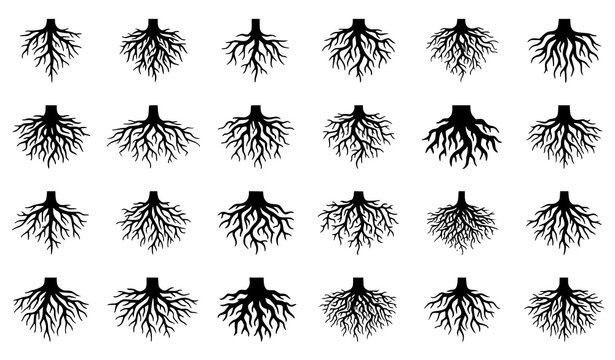 Illustration of Various Tree Root Icons in Black and White, Representing Nature and Growth