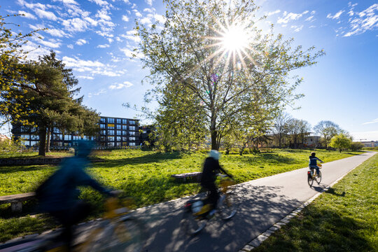 Cyclists riding along the Elbe Cycle Path (Elberadweg) in Dresden, Germany, on a bright sunny day. The scene shows a green riverside landscape near the Elbe River, with sunlight shining through a tree