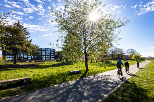 Cyclists riding along the Elbe Cycle Path (Elberadweg) in Dresden, Germany, on a bright sunny day. The scene shows a green riverside landscape near the Elbe River, with sunlight shining through a tree