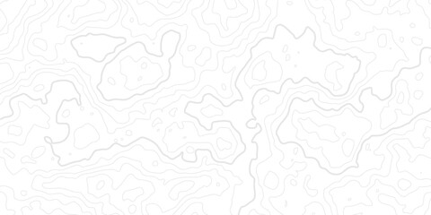 featuring soft gray and cyan contour terrain lines forming a clean geographic elevation vector design.Modern minimalist topographic map line pattern on white background,  © Afridi