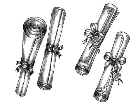 Diploma Scroll Engraving Illustration Collection