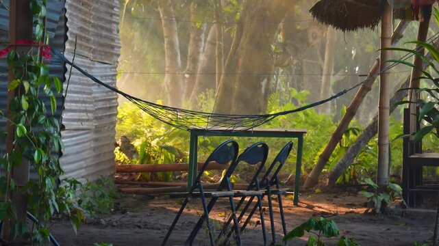 Morning light timelapse in jungle camp. A traveler sits by a rustic hut as sunbeams filter through trees, capturing a serene, off-grid adventure. Dog cuddle best friend and lifestyle off the grid