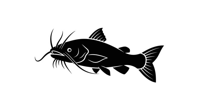 Black catfish silhouette with long barbels